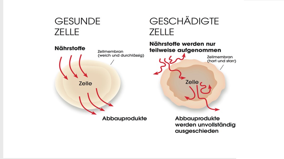 Slide2